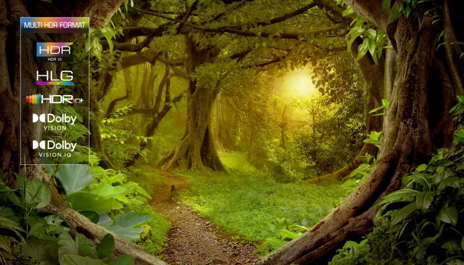 TCL C71B různé formáty